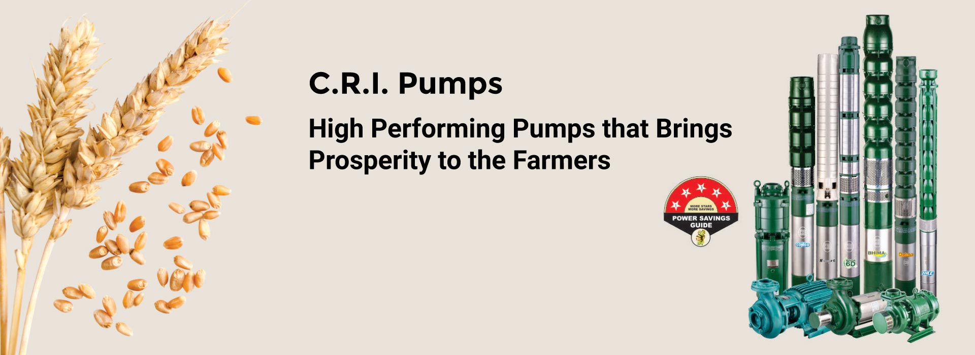 CRI Pumps: Pumps Manufactures in India